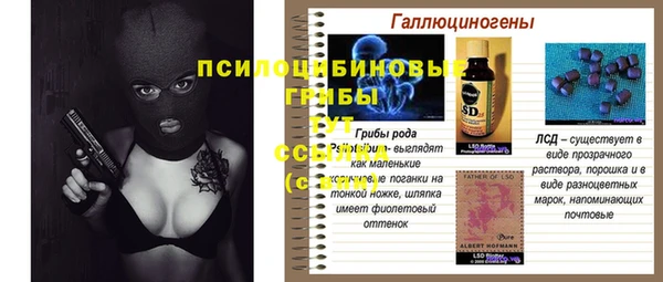 эйфоретик Беломорск