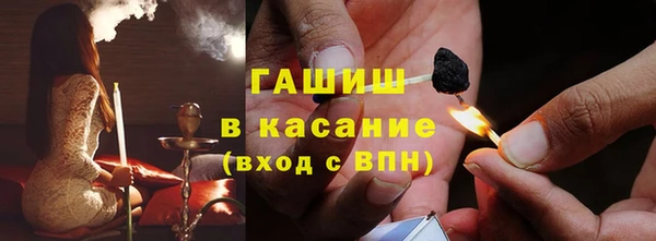 гашик Богданович