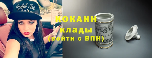 spice Богородицк