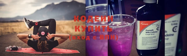гашик Богданович
