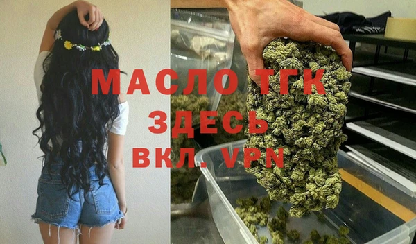 spice Богородицк