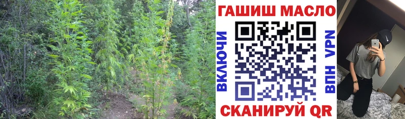 ТГК концентрат как найти закладки Благодарный